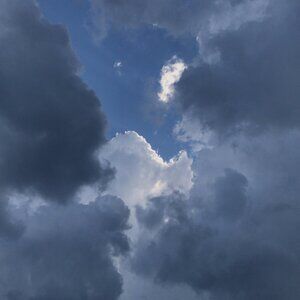 Meet your Posher, Rose